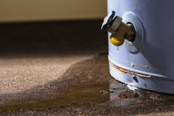 Best Water damage restoration near me  in Lake Mohawk, NJ