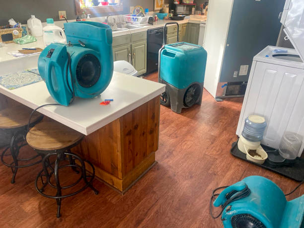 Best Water damage cleanup near me  in Lake Mohawk, NJ