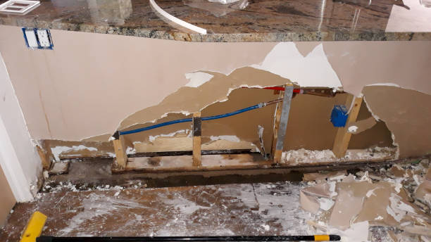 Best Flood damage cleanup  in Lake Mohawk, NJ