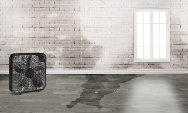 Best Basement water damage restoration  in Lake Mohawk, NJ