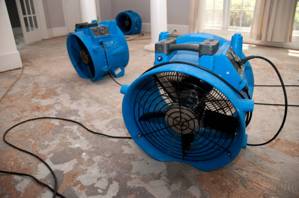 Best Carpet water damage restoration  in Lake Mohawk, NJ