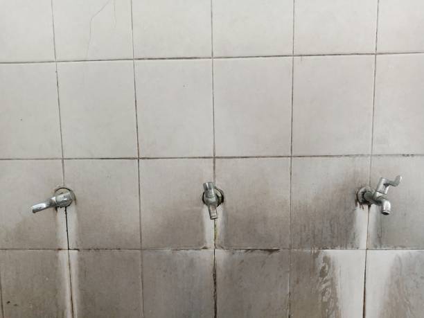 Best Water damage contractors near me  in Lake Mohawk, NJ