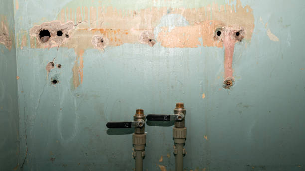 Reliable NJ Water damage restoration Solutions