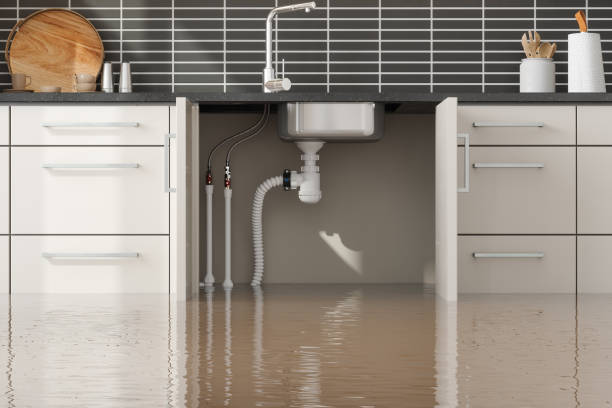 Best Local water damage restoration  in Lake Mohawk, NJ