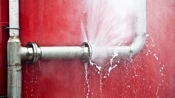 Best Flooded house restoration  in Lake Mohawk, NJ